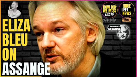 Eliza Bleu on The Political Persecution of #JulianAssange | (clip) from How Did We Miss That #53