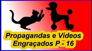 Propagandas e Vídeos Engraçados - Parte 16 mundo animal 16