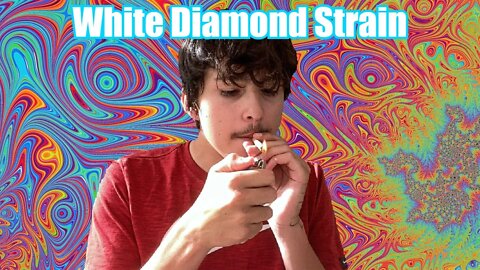 White Diamond Strain