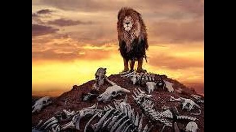 #LionKing #WildlifeWednesday #RoarWithPride #MajesticBeasts