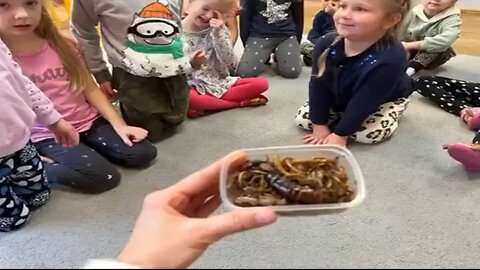 🆘SHOCKING: Kindergarten in 🐛Poland❗️❗️❗️