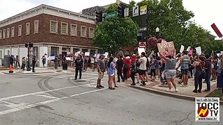 Abortion Supporters Protest In Huntsville (Pussy Power)