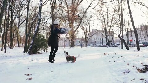 Young woman playing with Jack Russell terrier in winter time through park, dolly shot