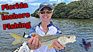 Florida Inshore Fishing for Multiple Species