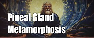 Pineal Gland Metamorphosis