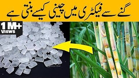 How Sugar is made From Sugarcane In Urdu&Hindi _ Door Bini 2023