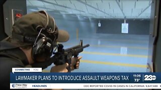 Lawmaker plans to introduce assault weapons tax