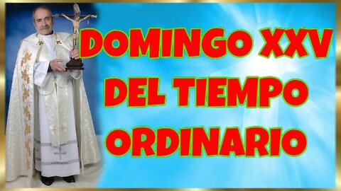 262 DOMINGO XXV DEL TIEMPO ORDINARIO 2022. 4K