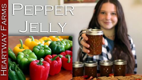 Rainbow Pepper Jelly | Easy Canning Recipe | Garden | Jam | Presto Water Bath and Pressure Canner