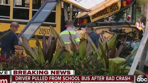 School bus crashes into pole in Clearwater, driver injured