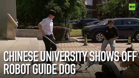Chinese university shows off robot guide dog