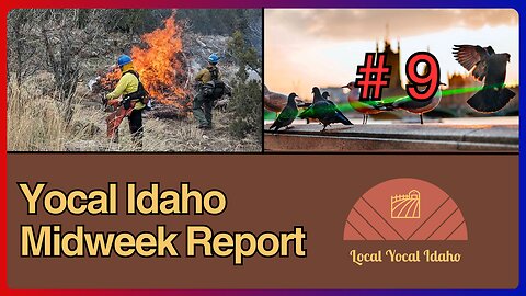 Yocal Idaho Midweek Report #9 - Feb 21