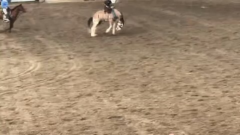 Bronc riding