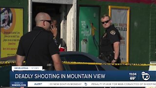 Mountain View deadly shooting