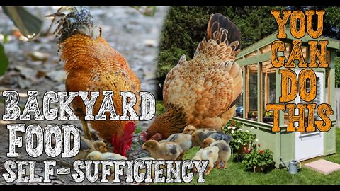 Backyard Food Self-Sufficiency | You Can Do This! | #prepping BACK TO BASICS LIFESTYLE