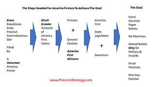 Precinct Strategy Roadmap for Saving the Republic. Dan Schultz February 14 2023