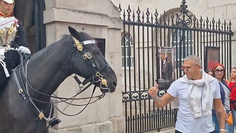 Don't touch the horse its bitting #horseguardsparade