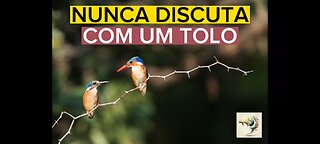 Discussão