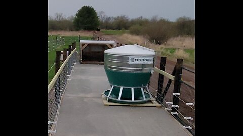 Best Hog Pig Swine Feeder We Found on the Farm