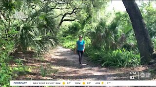 Walking Club: Exploring Folly Farm Nature Preserve in Safety Harbor