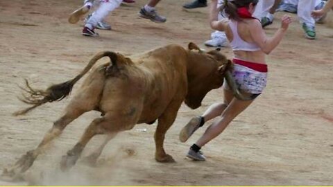 Best funny videos, most awesome bullfighting festival