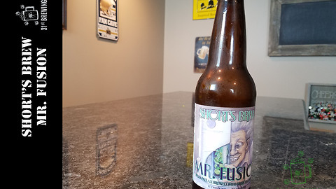 Short's Brewing 'Mr. Fusion' beer review