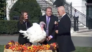 Joe Biden 9.5 Million Turkeys! I Tell Ya That's Like Countries I've Been To