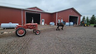 Our Draft Horse to the Rescue