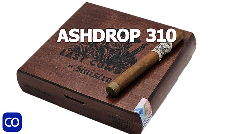 CigarAndPipes CO Ashdrop 310