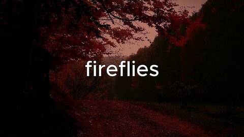 fireflies - spaceouters