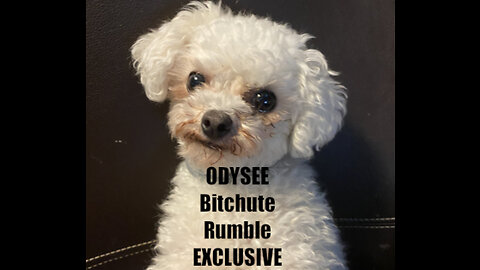Rumble/Odysee/Bitchute Exclusive Hot Take: Feb 19th 2023 News Blast!