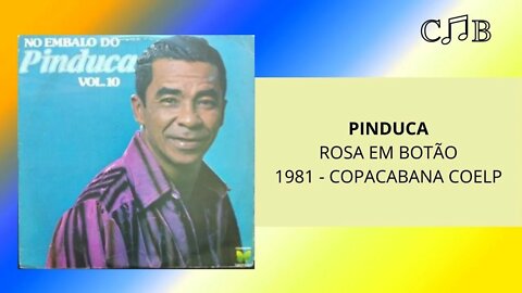 Pinduca - Rosa em Botão