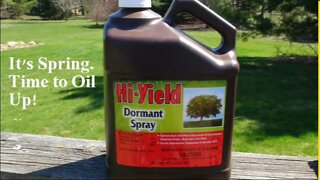 It's Spring Time to Apply Dormant Oils?