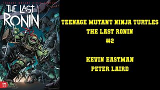 TEENAGE MUTANT NOSTALGIA TURTLES - TMNT: The Last Ronin #2