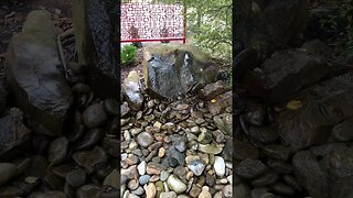 Peaceful Relaxing - Garden Waterfall