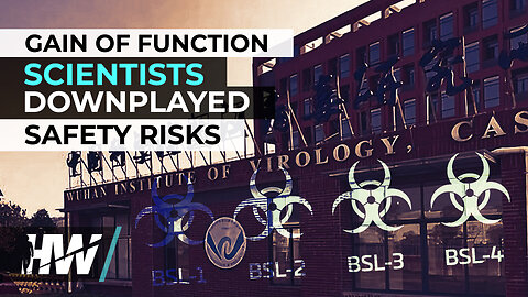 GAIN OF FUNCTION SCIENTISTS DOWNPLAYED SAFETY RISKS