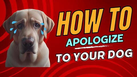 The Shocking Truth About Apologizing to Your Dog: What You Need to Know!