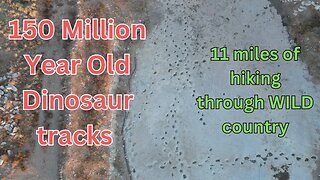 Largest Dinosaur Track site in North America | Hiking in the Colorado