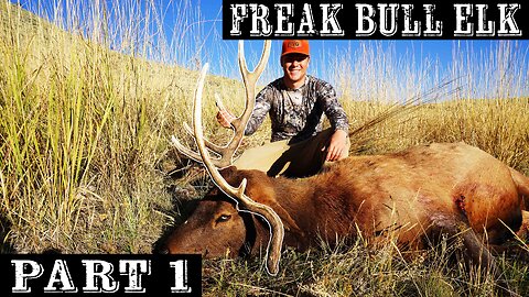 3 Bulls in 3 Months of Elk Hunting S3:EP3