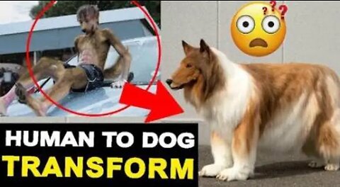 Human Become dog || Japan Man Become Dog || A Man Spends 12000$ and Become Dog
