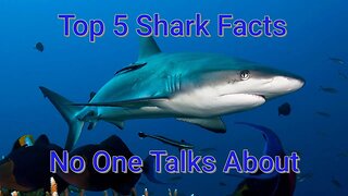 Top 5 Shark Facts No One Talks About (Shark Awareness Day Special)