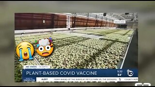 LIVESTOCK INJECTED WITH MRNA SHOTS THIS MONTH AS WELL AS FRUITS & VEGETABLES 😭🤯