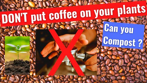 DO NOT put Coffee grounds on your Plants ! - University Research Reveals