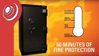 American Security BFS Series Burglar & Fire Safes