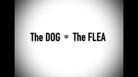 The Dog or The Flea