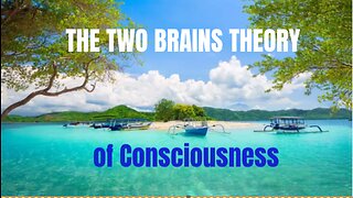 The TWO BRAINS THEORY of Consciousness