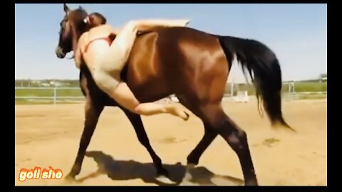 funny horse video 2021