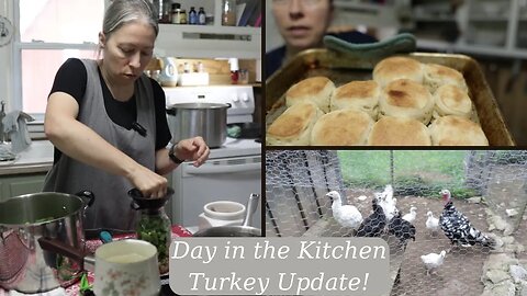 Canning PEAS | SOURDOUGH Biscuits | Turkey Update! | SOURDOUGH Croutons