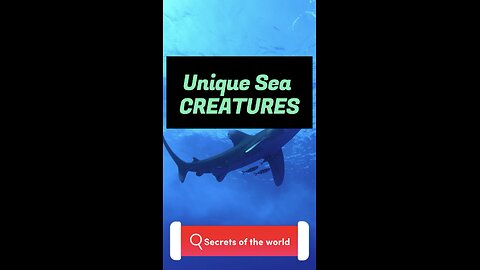 Unique sea creatures 💦🐠🐬🐡🐢🌊🐳 #seacreatures #fish #fypusa #usa #viral #foryou #shorts #youtube