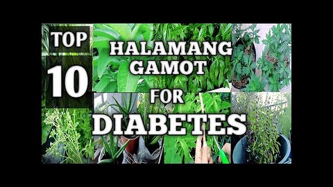 TOP 10 MEDICINAL PLANTS FOR TREATING DIABETES | MGA HALAMANG GAMOT PARA SA DIABETES